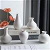 Tanvecle Piccoli vasi bianchi, set di 5 vasi in ceramica per erba della pampa, fiori, vasi decorativi per la casa, decorazione moderna, decorazione rustica, vespe per soggiorno, tavolo da pranzo