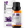 SenseLAB Olio essenziale di Lavanda - Olio di Lavanda Terapeutico Naturale e Puro al 100% per Umidificatore e Diffusore di Aromaterapia - Olio Rilassante e Lenitivo (10 ml)