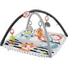 Fisher Price Palestrina Luci e Suoni Amici Tappeto Attività Gioco - REGISTRATI! SCOPRI ALTRE PROMO