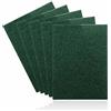5665 Paglietta multiuso, spugnetta per piatti, pulizia e paglietta, durevole, antigraffio, abrasiva, verde, spugnetta abrasiva, detergente per piatti, pentole, strofinatura, padelle, ristorazione, cu
