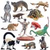 TOYMANY 12 figure animali della foresta giocattoli realistici Madagascar, animali in plastica, animali della giungla selvatica, statuette di animali da zoo, decorazione di torte, regalo