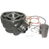 cyclingcolors cilindro motore pistone fasce elastiche moto ciclomotore motore 50cc compatibile con am6 minarelli mbk x power limit yamaha tzr peugeot xps rieju aprilia rs