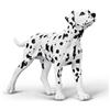 Collecta - Dalmata - Figura da collezione - Dimensione M - +3 (Deqube 90180040)