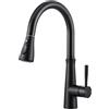 iVIGA Rubinetto da cucina nero, ad alta pressione allungabile, girevole a 360°, miscelatore da cucina con 2 tipi di getto d'acqua, in acciaio inox, nero