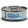 FARMINA Vet Life Hypoallergenic Maiale Patate Alimento Umido Gatto 85 g