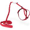 PetSafe Easy Walk, Pettorina e Guinzaglio Elastico per Gatti, Regolabile, Guinzaglio Elastico, Rosso, M