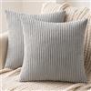 MIULEE Confezione da 2 Fodere in Velluto a Coste Decorative Federe Morbido Copricuscini Cuscino Moderne Comodo Robusto per Camera da Divano Letto 45 X 45 cm Grigio Chiaro