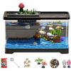 Generico Kit Starter per Acquario - Vasca Per Pesci Con Filtro E Luce,Acquario in Vetro Trasparente per Camera dei Ragazzi Soggiorno o Scrivania
