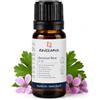 Naissance Olio di Geranio Rosa - Olio Essenziale Puro al 100%, Vegano, senza OGM - 10ml