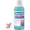 PROCTER & GAMBLE SRL ORALB DENTI E GENGIVE COLLUTORIO 2 X 500 ML