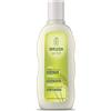 Weleda Miglio Shampoo Trattante, deterge i capelli con dolcezza. Ideale per tutta la famiglia e per lavaggi frequenti, per capelli sani e luminosi (1X190 ml)