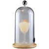 Goshyda Fumo Cloche per Bevande Alimentari, Fumatori Cloche Cupola Acrilica, Accessorio per Cupola per Fumatori da Cocktail, per Barbecue da Bar del Ristorante da (24 cm)