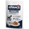 Advance Diet Recovery Busta 100 Gr