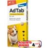 ELANCO AdTab COMPRESSE MASTICABILI PER Cani da 5,5 â€" 11 Kg *acquisto minimo 4pz*
