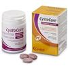 CANDIOLI IST.PROFIL.E FARM.SpA Cystocure forte barattolo 30 compresse - CYSTOCURE - 938398450