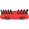 Chicago Pneumatic SS209DG 1/4DR 9PC SAE DP MAGN IMP Set