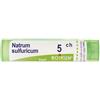 Boiron Natrum Sulfuricum 5CH Granuli omeopatici multidose 80 pezzi
