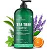 Botanic Hearth Shampoo all'albero del tè (Tea Tree Shampoo), vitamina C, menta piperita, olio di lavanda e rosmarino, combatte la forfora e il cuoio capelluto secco, 16 fl oz