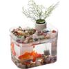 Thaookte Piccolo serbatoio di pesce, Ciotola di pesce di plastica portatile, Scatola di allevamento di pesce, Betta Aquarium con pompa di aria USB, Ciotole per pesci rossi tartaruga gamberetti, Mini acquario