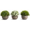 Opps Set di 3 mini piante artificiali in plastica, fiori verdi in vaso grigio, decorazione per la casa