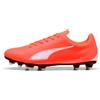 PUMA TEAMSPORT Puma Vitoria II FG/AG