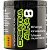 Net integratori farmacia creatina alka 8 arancia 200 g