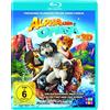 AL!VE AG Alpha und Omega
