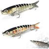 Eterspr 2 Pcs Esche Artificiali, Esche da Pesca per Spigola, Esca Segmentata Multi Snodata, per la Pesca in Acqua Dolce e Salata