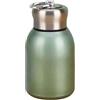 Dvagoent Borraccia Piccola da Borsetta Doppio Strato Thermos Piccolo per Caffè Vuoto Mini Borraccia, con Passante per Il Trasporto, Dimensioni Compatte, 220g, 300ml, Acciaio Inox (Verde)