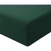 RUIKASI Lenzuolo con Angoli Matrimoniale - Oeko Tex Lenzuola Sotto con Angoli ed Elastico per Letto in Microfibra, 160x200 Verde Scuro
