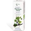 Caira Laboratorio Erb. Sa. Caira Bardanadren Macerato Idroalcolico Bio - Gocce 50 ml