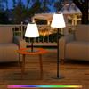 Postlucky Lampada da Terra Solare per Esterno Lampade da Giardino da Terra Dimmerabile 8 Colori RGB Lampada da Tavolo Senza Fili USB Ricaricabile con Telecomando IP44 per Esterni Interno (Nero)