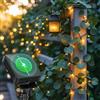 Aigostar Luci Solari da Giardino, 10M+2M Catena Luminosa Solare con 100 LED Edera Artificiale, IP65 Luci da Esterno per Balcone, Pareti, Terrazzo e Gazebo, 8 Modalità