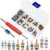 Dinhauyon 100 Pezzi Set Nucleo Valvole Aria Condizionata con 2 Strumenti Smontaggio Testa Doppia, 1 Scatola Portaoggetti, R134AV A/C alvola Pneumatici per Auto, Camion, Bici, Moto, Sostituzione e Manutenzione