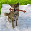 KONG Safestix 2 Misure - Medium