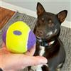 KONG Airdog Squeaker Knobby Ball XS/S