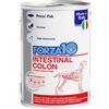 FORZA10 CANE UMIDO INTESTINAL COLON 400g