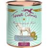 Terra Canis Grain Free Cavallo con Rutabaga Finocchio e Salvia - 800gr, singolo