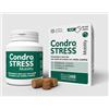 Innovet Condrostress Mobility 30 cpr