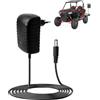 Dozylive 12V Caricabatterie per Auto Elettriche per Bambini, 12V 1A Caricatore per Elettrico Cavalcare Giocattoli Guida Elettrica su Giocattoli Moto SUV ATV Auto