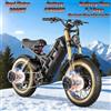 Eahora Romeo Bicicletta Elettrica 3000W Potente Doppio Motore 52V60AH Batteria E-bike 20*4.5 Fat Tire Mountain Off-road Bici Elettrica - Black-1200W48V60AH