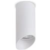 Maclean Faretto da superficie MCE360 con attacco GU10 fino a 40W | Plafoniera in alluminio per uso interno | design moderno | 55x130 millimetri (Bianco)