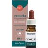 Erba Vita Cannella Olio Essenziale 10ml