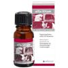 alfavet Alfa-Vitam, 10 ml, concentrato di vitamine per la prevenzione di carenze vitaminiche, alimenti complementari per uccelli, piccoli agenti, rettili