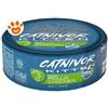 DRN Catnivor Kitten Pollo - Lattina Da 80 Gr