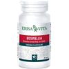 ERBA VITA BOSWELLIA SERRATA 60CPS 400MG