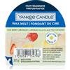 Yankee Candle Iced Berry Lemonade 22 g