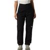 THE NORTH FACE Pantaloni cargo invernali affusolati Exploration Regular Outdoor Uomo