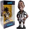 Minix Football Legends #110B,Pele Santos,Eta 14+