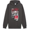 PUMA A.C. Milan - Felpa con Cappuccio ftblNRGY+, Adulto, Felpa Sportiva da Calcio di AC Milan, Prodotto Ufficiale, Unisex, Grigio, L